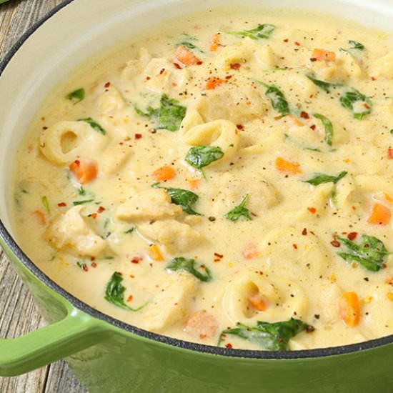 Chicken Alfredo Tortellini Soup - Recipe photo by The Slow Roasted Italian