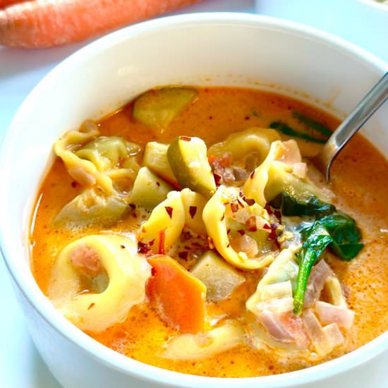 Vegetable Tortellini Soup - Recipe photo by myspicetrunk.com