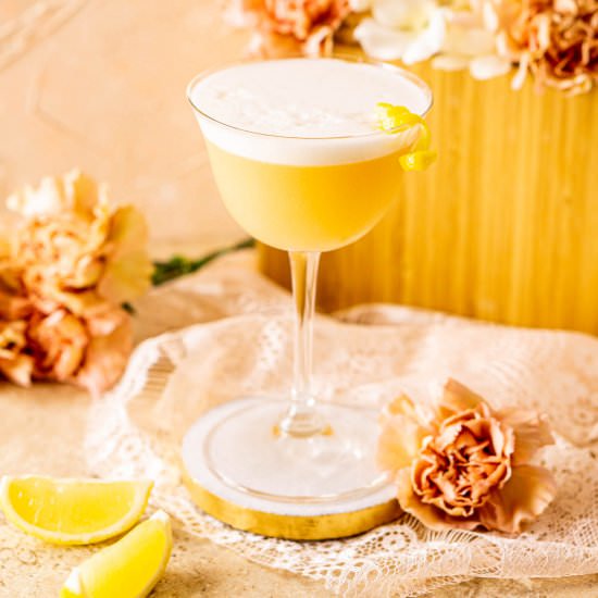 Boston Sour - Recipe photo by Burrata and Bubbles