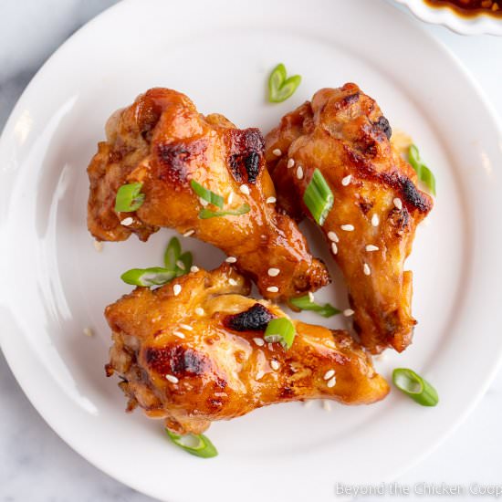 Baked Teriyaki Wings - Recipe photo by BeyondtheCoop