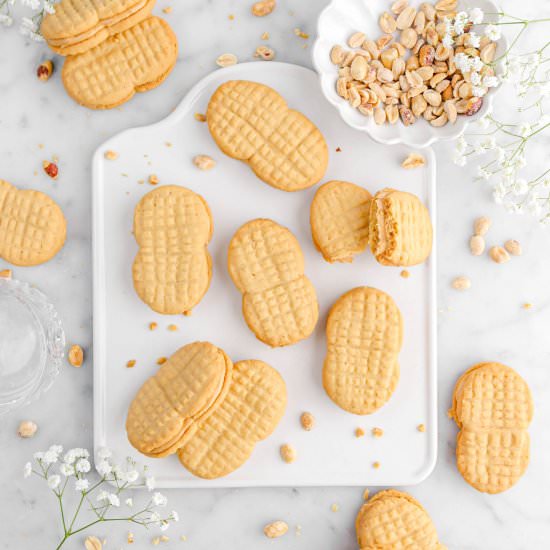 Nutter Butter Cookies - Recipe photo by bakerstable