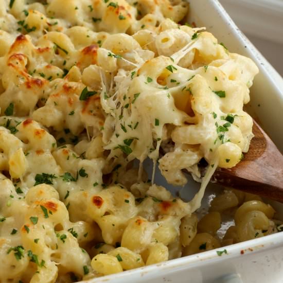 Chicken Alfredo Bake - Recipe photo by Small Town Woman