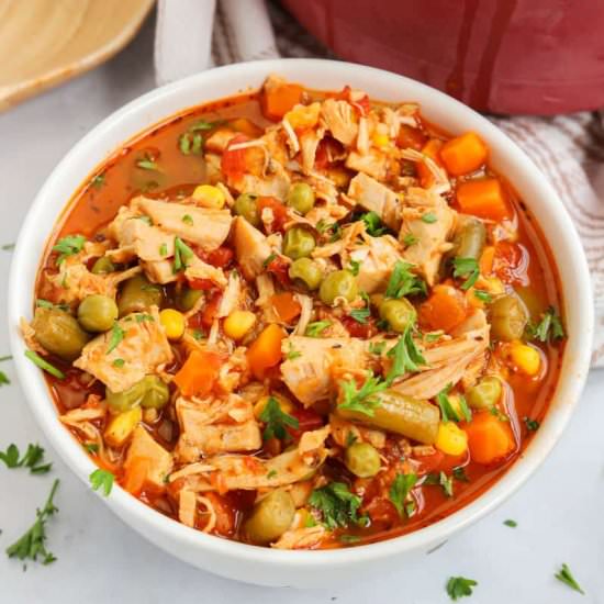 Chicken Vegetable Soup - Recipe photo by The Diary of a Real Housewife