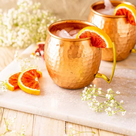 Blood Orange Moscow Mule - Recipe photo by Burrata and Bubbles