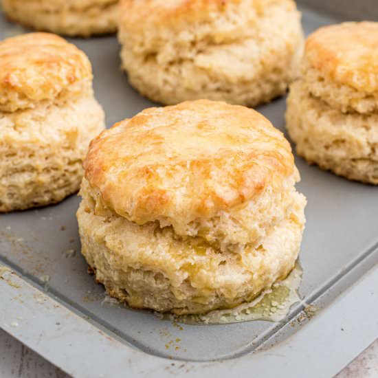 Old Fashioned Southern Biscuits - Recipe photo by thecaglediaries