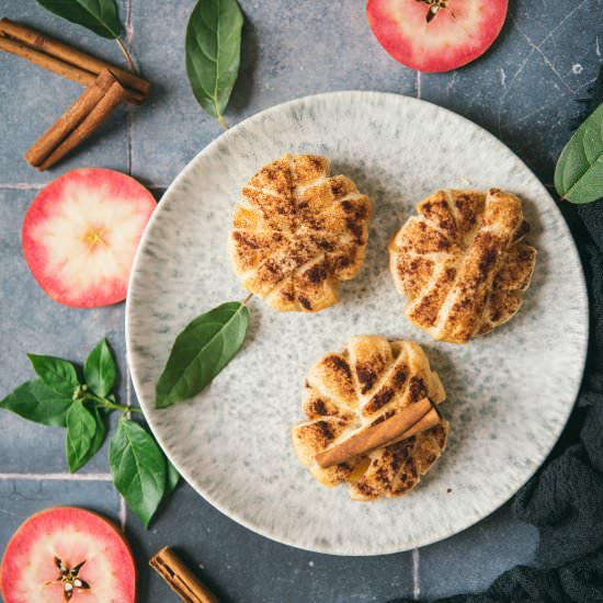 Apple Turnover - Recipe photo by tangerinezest