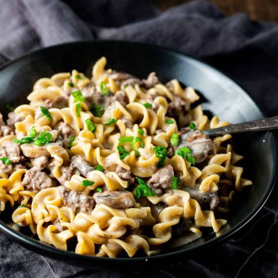 Instant Pot Ground Beef Stroganoff - Recipe photo by Went Here 8 This