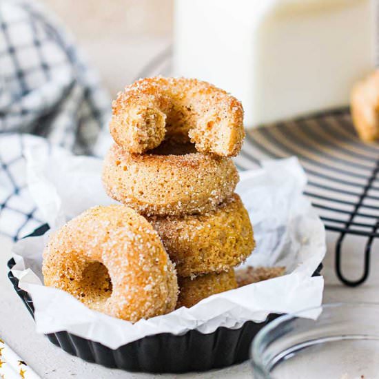 Cinnamon Sugar Mini Donuts - Recipe photo by yummynotes