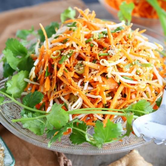 Carrot and Beansprout Salad - Recipe photo by angiesrecipes
