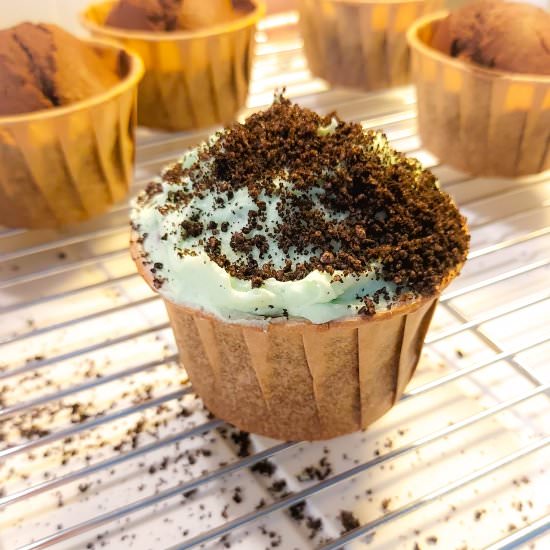 Chocolate Mint Dirt Cupcakes - Recipe photo by kickingbackthepebbles