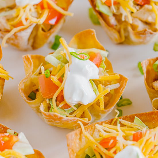 Mini Chicken Taco Salads - Recipe photo by House of Elyn Ryn