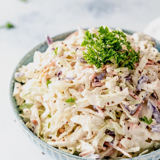 The Best Low Carb Coleslaw Recipe - Recipe photo by HealthStartsintheKitchen
