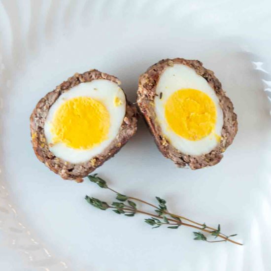 Scotch Egg - Recipe photo by iwilkerson