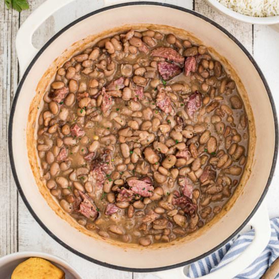 Pinto Beans Recipe - Recipe photo by thecaglediaries