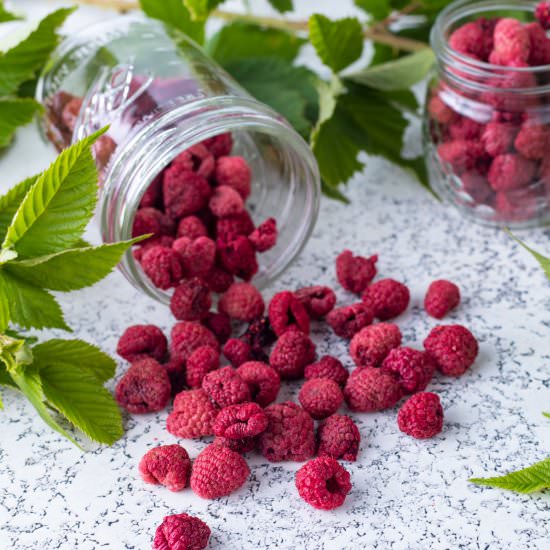 Dehydrated Raspberries - Recipe photo by BinkysCulinaryCarnival