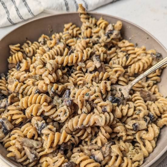 Vegan Hamburger Helper - Recipe photo by www.jamilghar.com