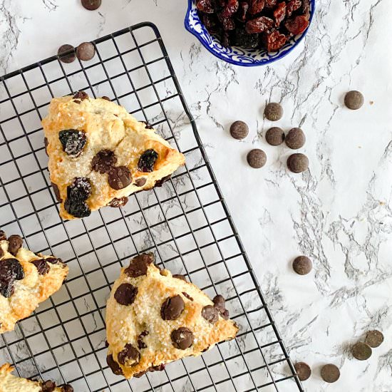 Dark Chocolate Cherry Scones - Recipe photo by northernginger