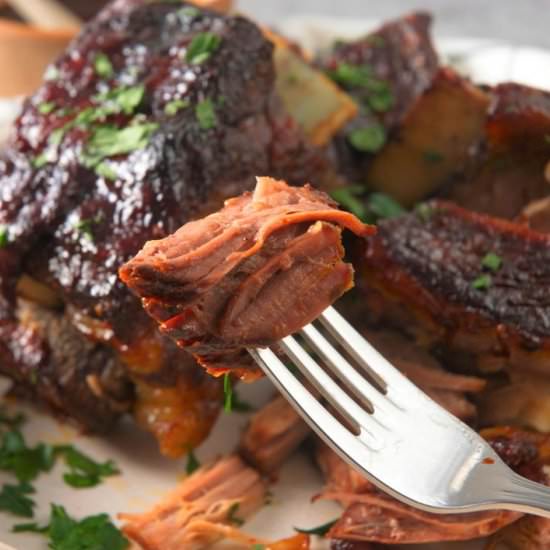 Bison Short Ribs - Recipe photo by inthekitchnet