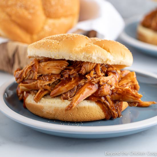 Crockpot BBQ Chicken - Recipe photo by BeyondtheCoop