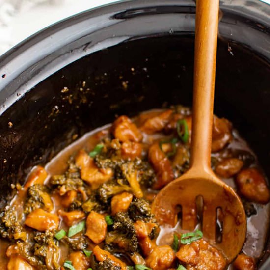 Crockpot Apricot Chicken - Recipe photo by TheSaltyMarshmallow