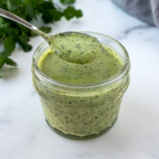 Yogurt Cilantro Lime Dressing - Recipe photo by freshapron