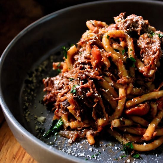 Short Rib Ragu Bucatini - Recipe photo by Woman And The Whisk