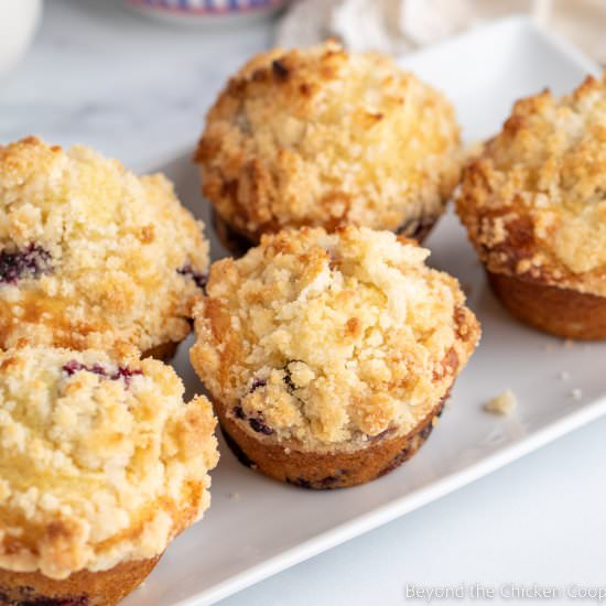 Blueberry Buttermilk Muffins - Recipe photo by BeyondtheCoop