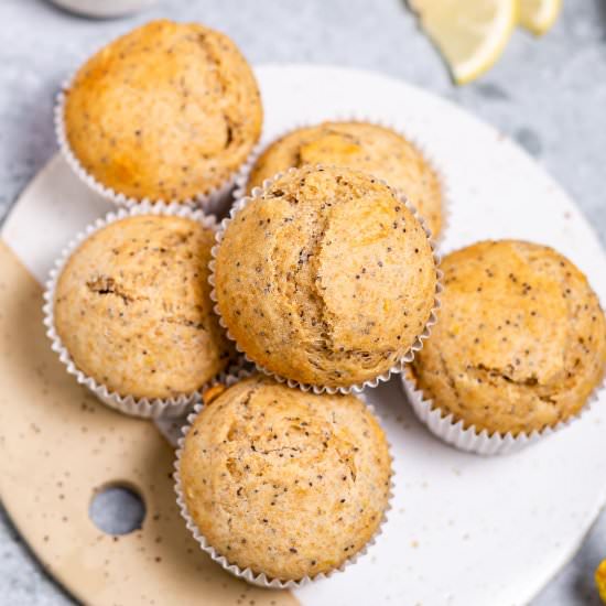 HEALTHY LEMON POPPY SEED MUFFINS - Recipe photo by healthyfitnessmeals