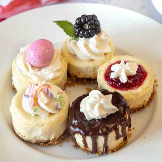 Mini Cheesecake Bites - Recipe photo by iwilkerson