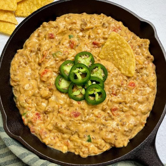 Vegan Rotel Dip - Recipe photo by serenetrail