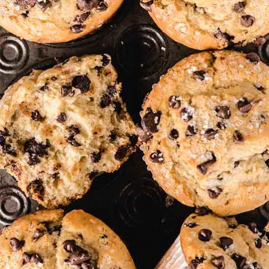 Chocolate Chip Muffins - Recipe photo by quiet baking day