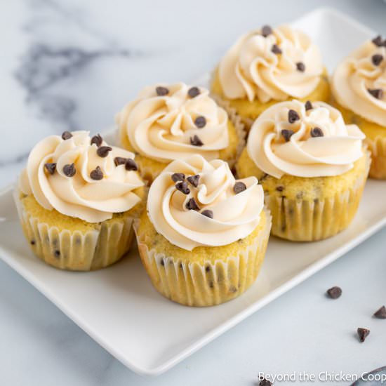 Chocolate Chip Cupcakes - Recipe photo by BeyondtheCoop