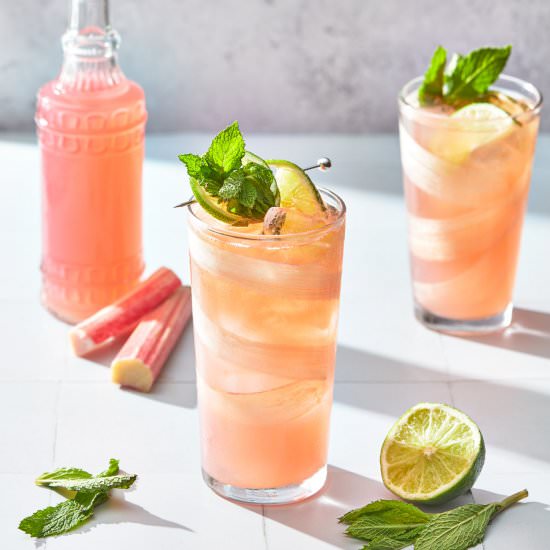 Ginger Rhubarb Gin Cocktail - Recipe photo by whatsteveeats