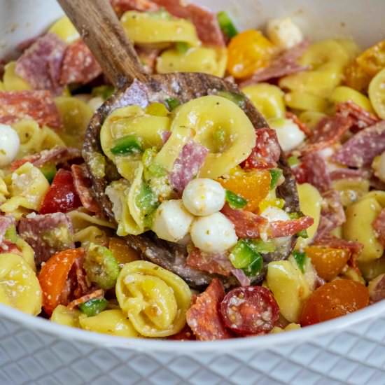 Tortellini Pasta Salad - Recipe photo by JawnsICooked