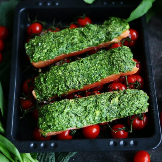 Wild Garlic Crusted Salmon - Recipe photo by angiesrecipes