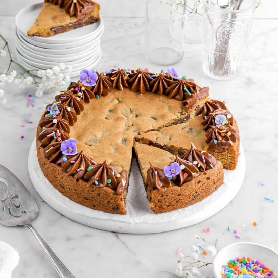 Chocolate Chip Cookie Cake - Recipe photo by bakerstable