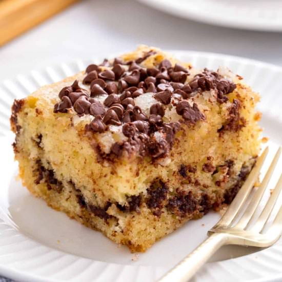 Chocolate Chip Cake - Recipe photo by AllThingsMamma