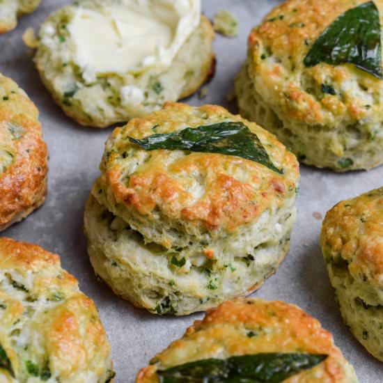 Wild Garlic Scones - Recipe photo by missrachelphipps