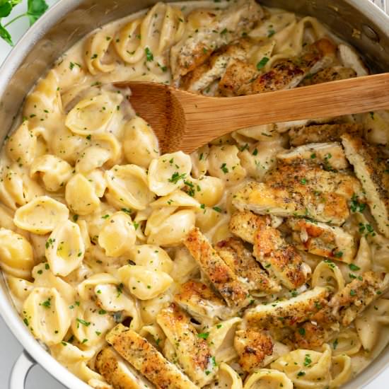 Creamy Chicken Pasta - Recipe photo by TheCozyCook