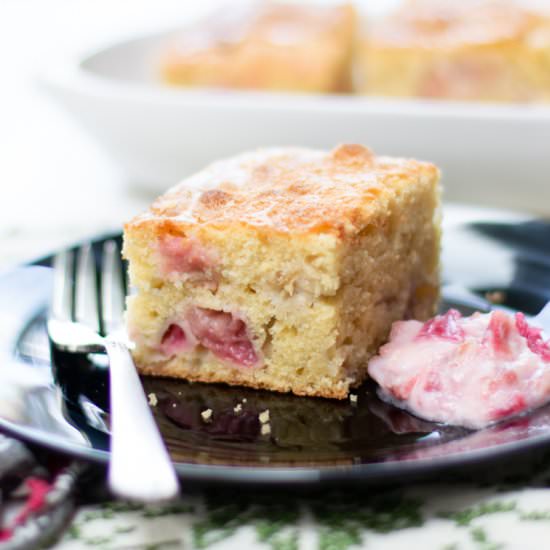 Rhubarb Snack Cake w spices - Recipe photo by a zest for life