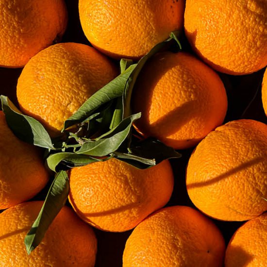 Find the Best of March Now - Recipe photo by Ourplantbasedworld