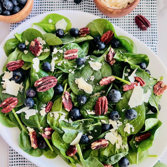 Spinach Blueberry Salad - Recipe photo by theshortordercook