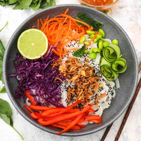 vietnamese noodle salad - Recipe photo by aVegTasteFromAtoZ