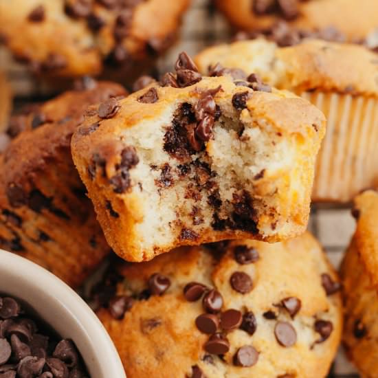 Bakery Style Chocolate Chip Muffins - Recipe photo by alpineella