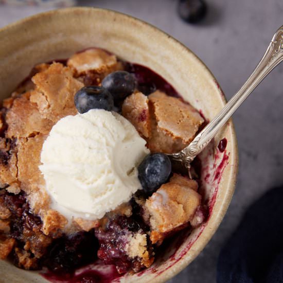 Blueberry Self-Saucing Pudding - Recipe photo by Barbara Curry