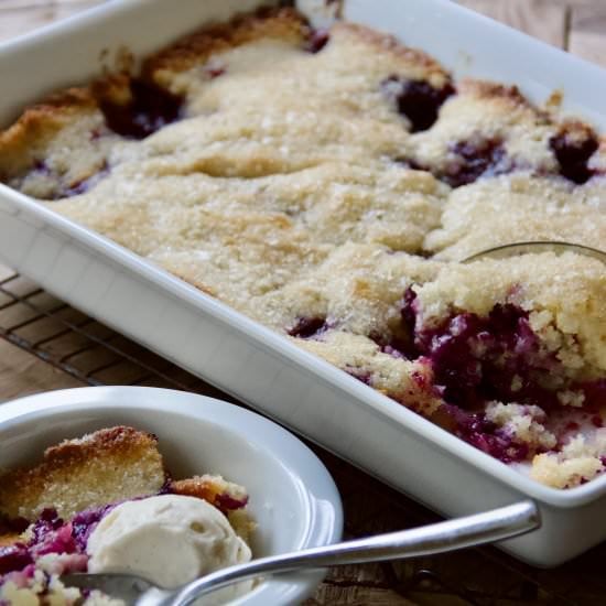 Easy Southern Blueberry Cobbler - Recipe photo by lanebakery