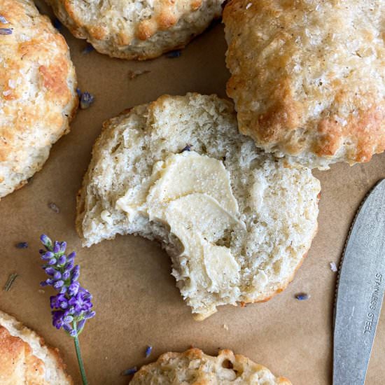 Lavender Biscuits - Recipe photo by live to sweet