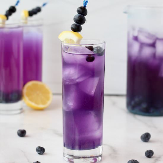 Blueberry Lemonade - Recipe photo by cheerfulchoices