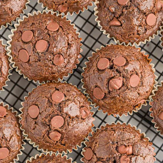 Double Chocolate Muffins - Recipe photo by buildyourbite
