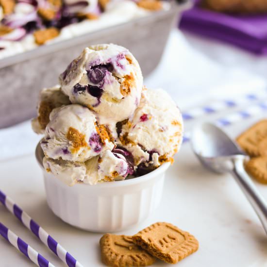 Blueberry Cheesecake Ice Cream - Recipe photo by A baJillian Recipes